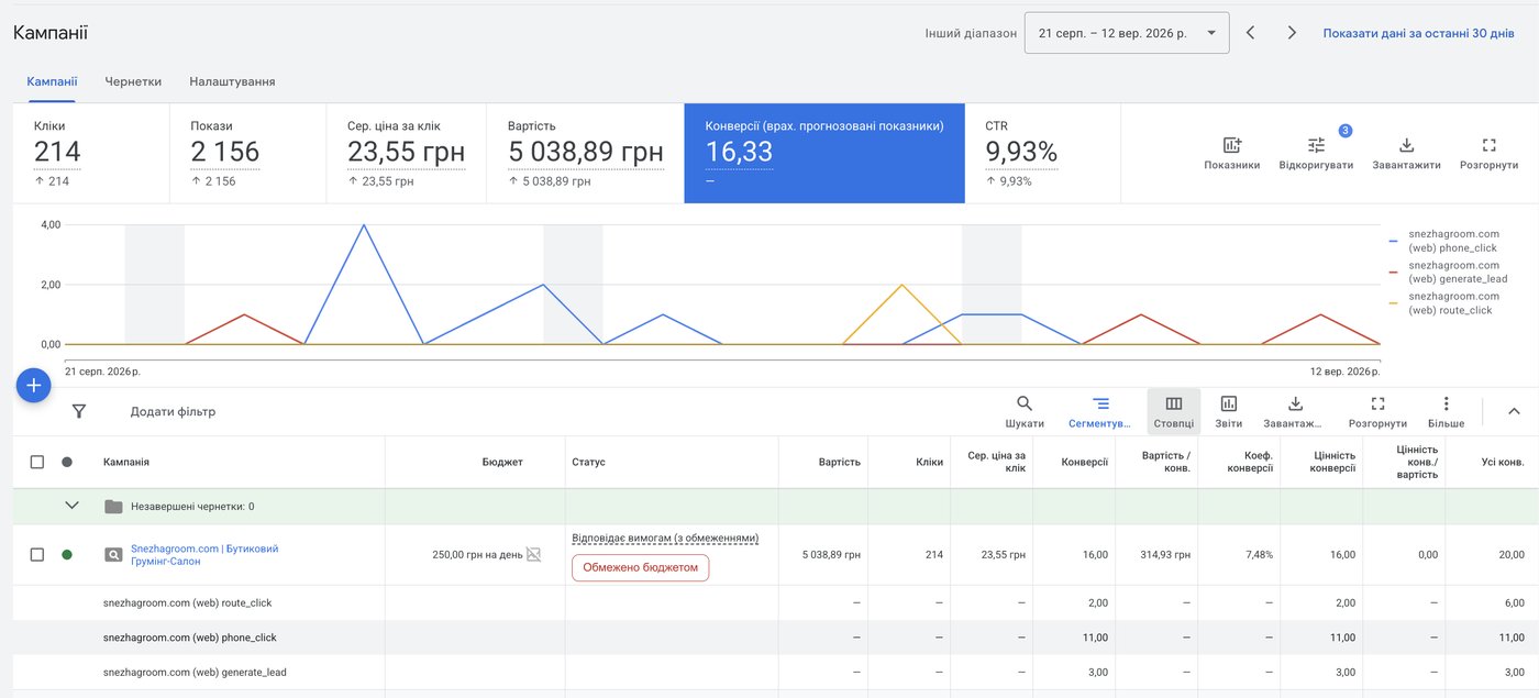 Кампанія Google Ads для Snezhagroom